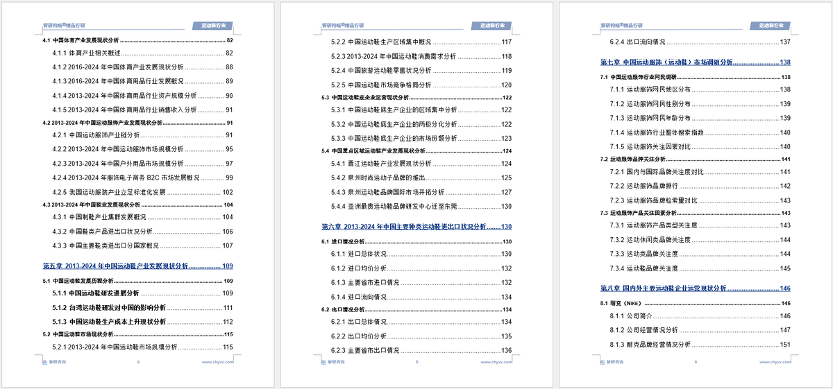投资前景研究报告（2025-2031年）千亿·国际网站中国运动鞋行业发展现状及(图1)