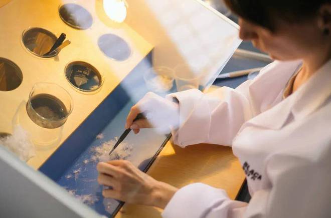 即这家中国企业打响品质保卫战千亿国际平台羽绒服行业革新在(图6)